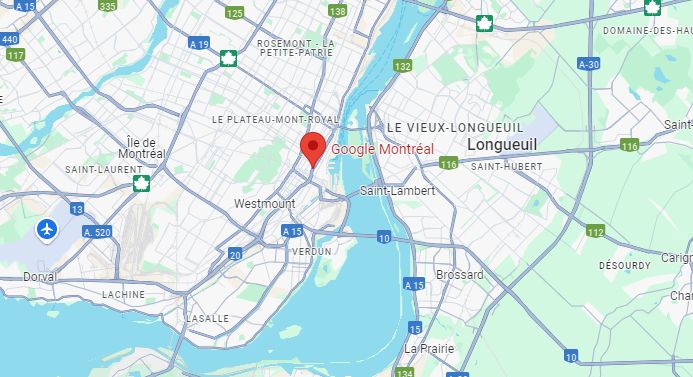 Barquette de Myrtille - 200g